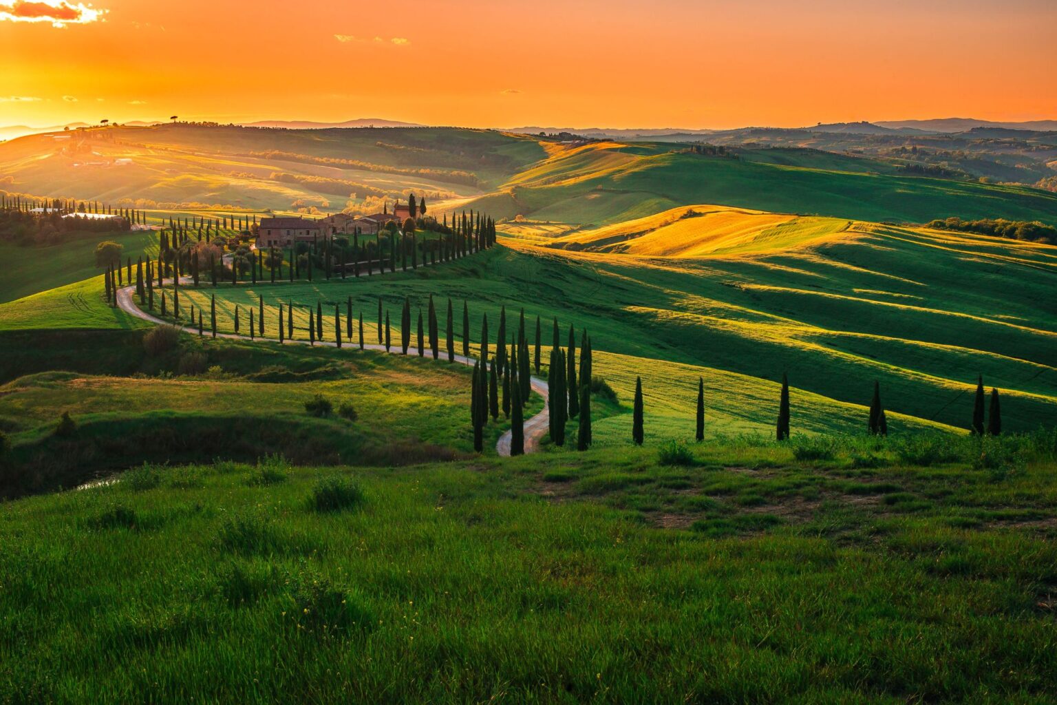 Colline del Chianti 3