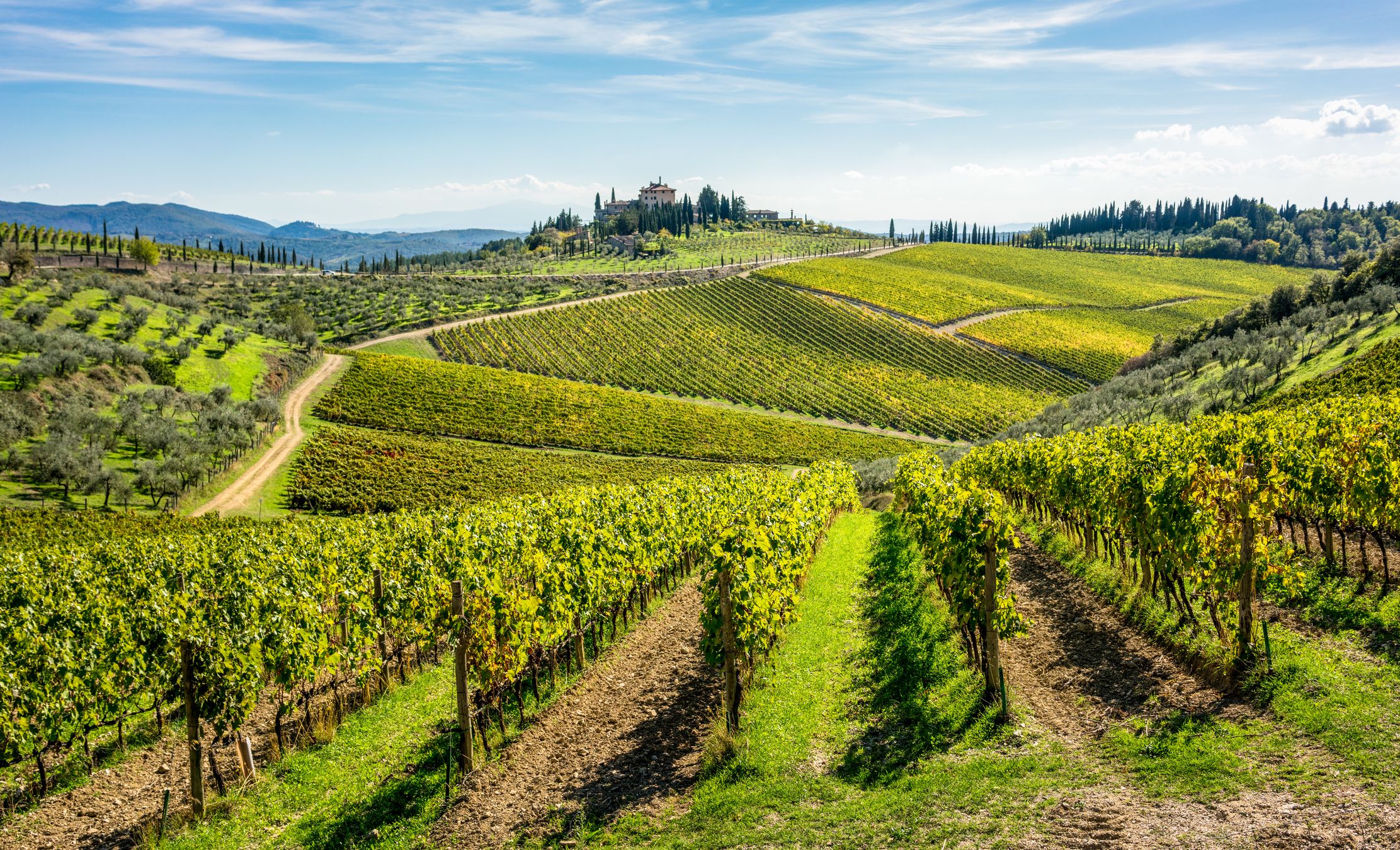 Colline del Chianti 4