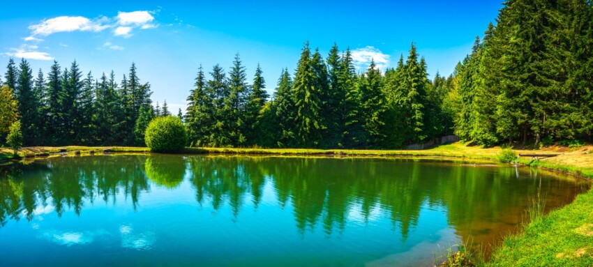 Parco dell'Orecchiella 1